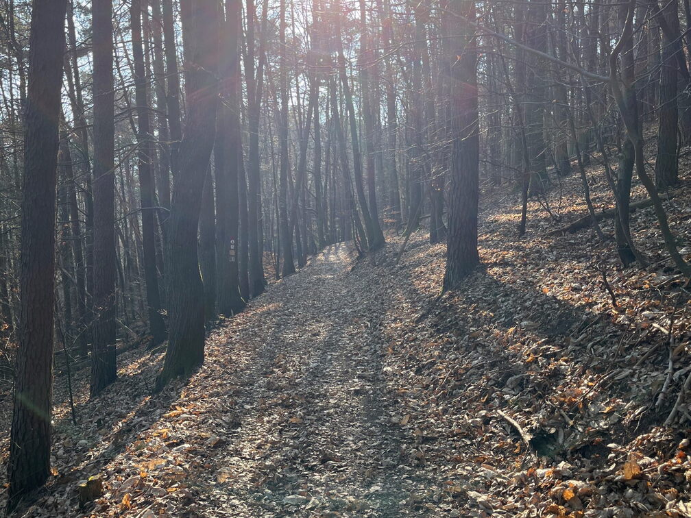 23-03-01 15-35-50 4541